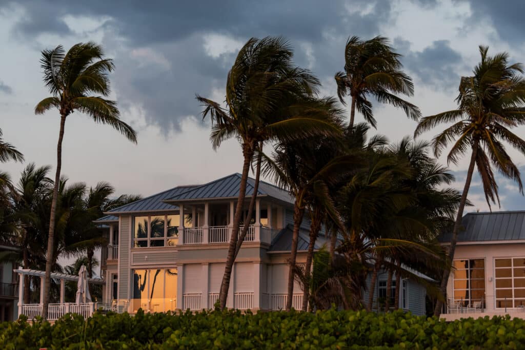 High winds pushing palm trees in Florida